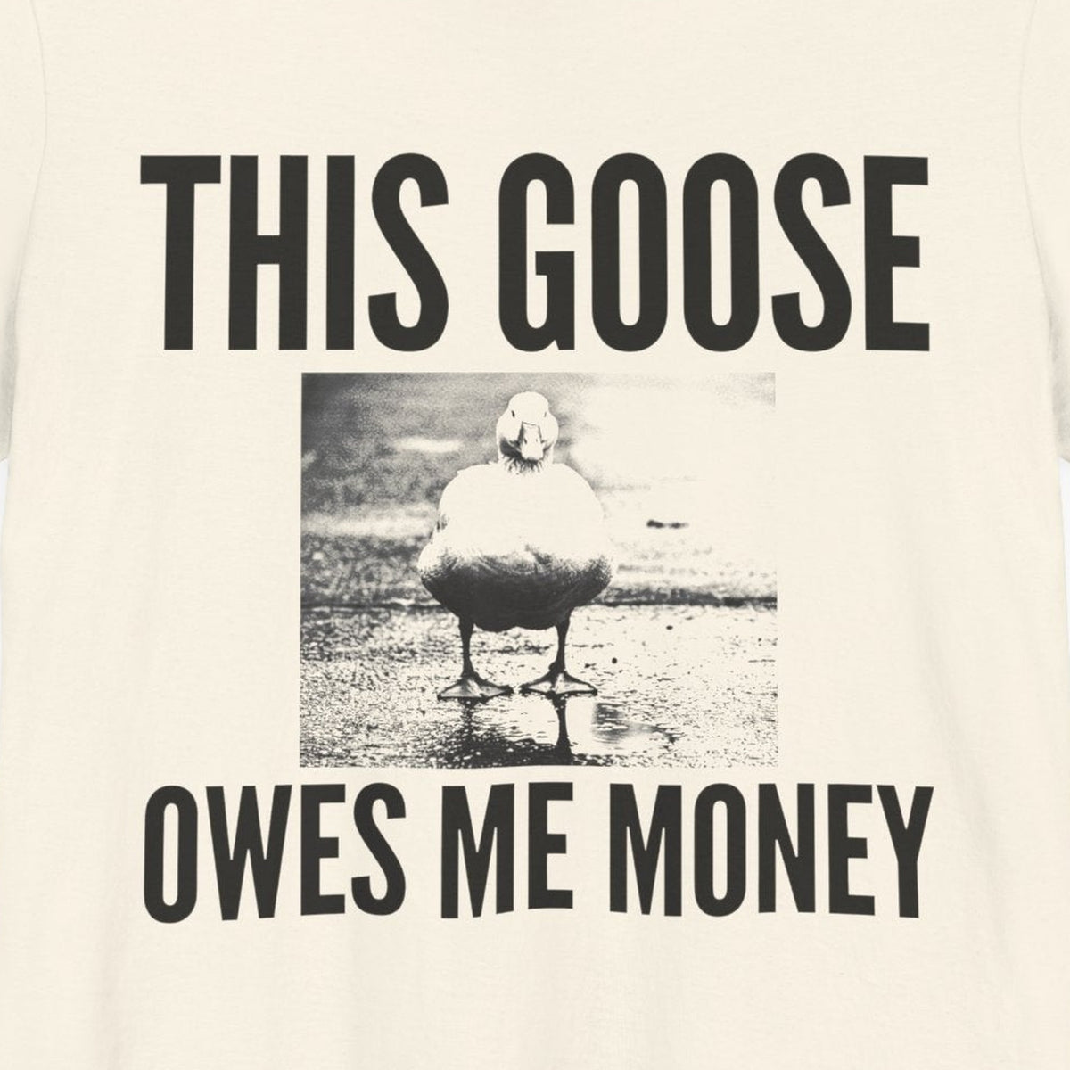 This Goose Owes Me Money — close-up of the print on a natural tee