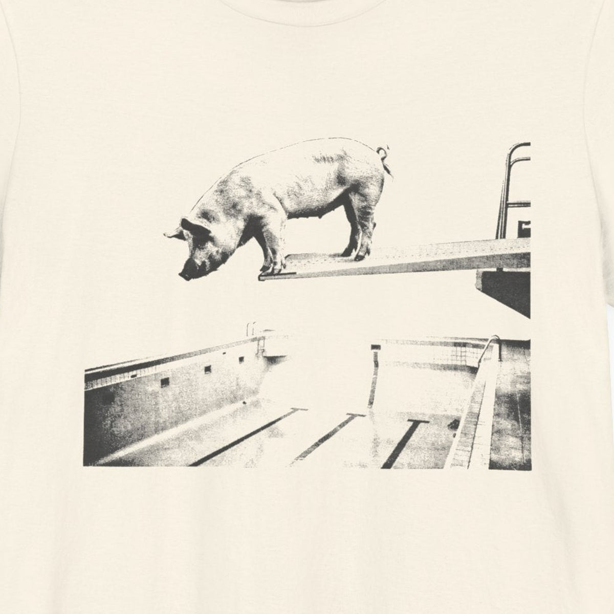 Nailed the Dismount — close-up of the print on a natural tee