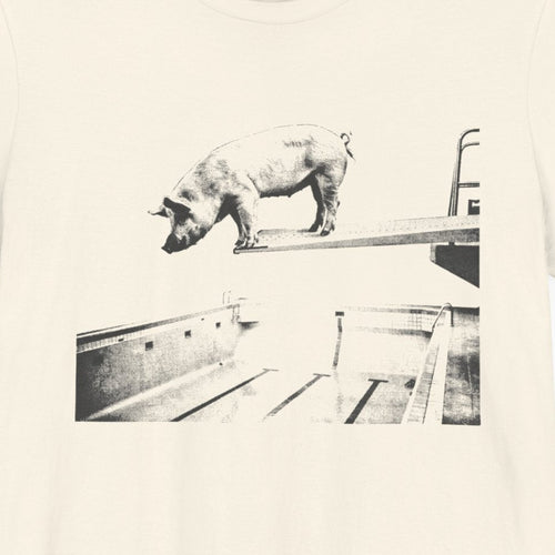 Nailed the Dismount — close-up of the print on a natural tee