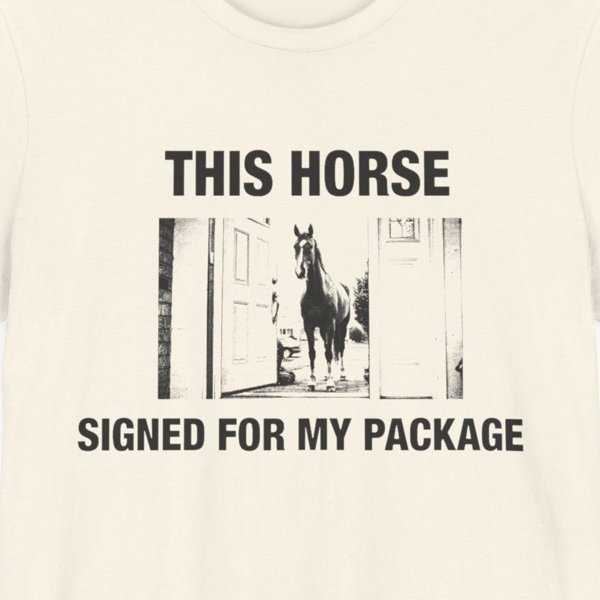 This Horse Signed for My Package — close-up of the print on a natural tee