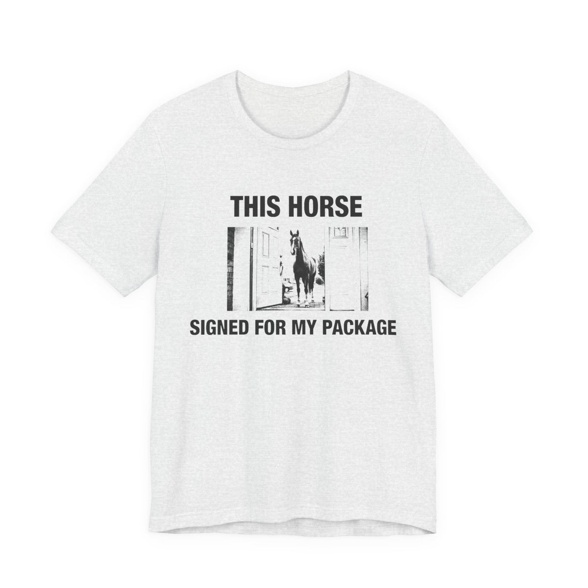 This Horse Signed for My Package — Ash tee, front