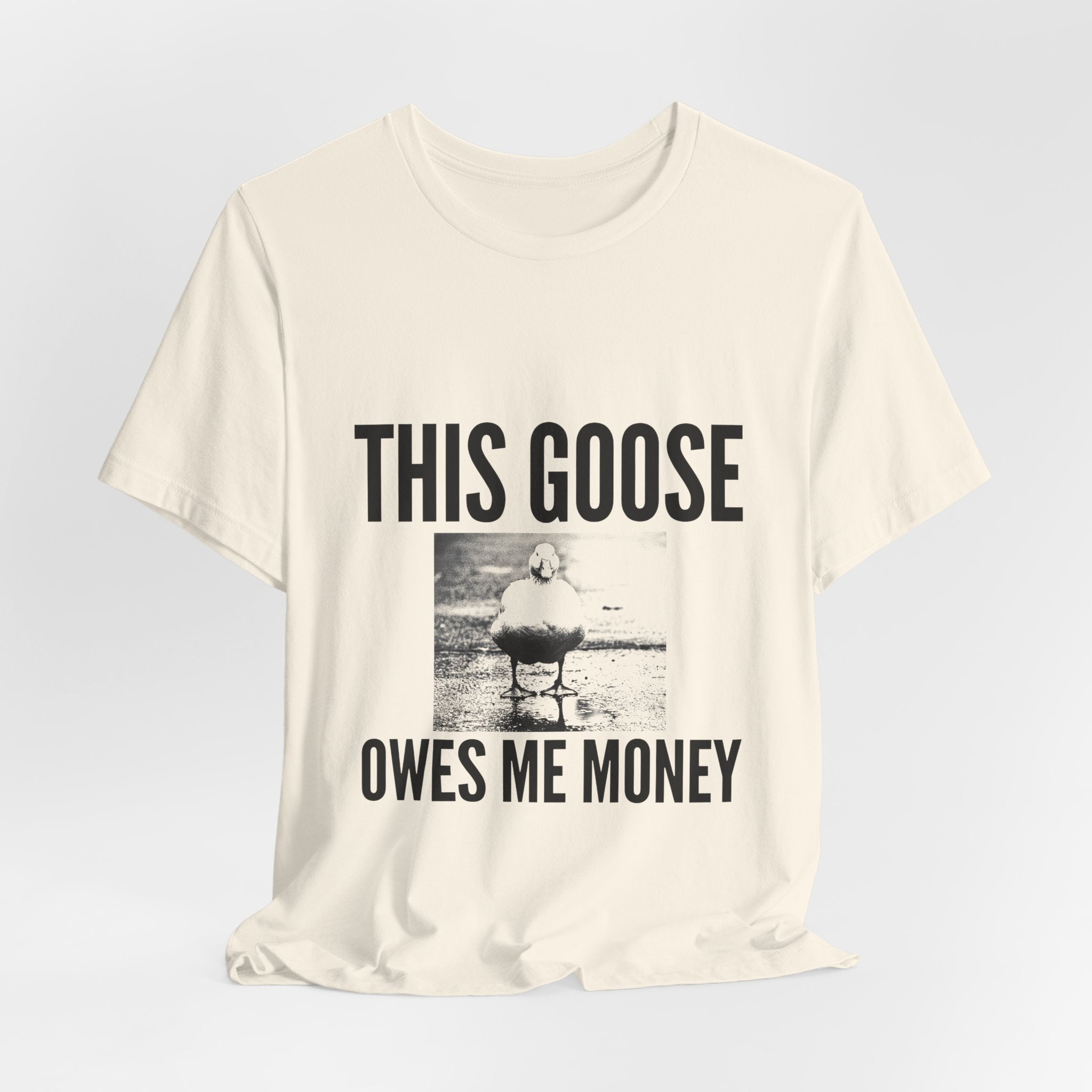 This Goose Owes Me Money Tee