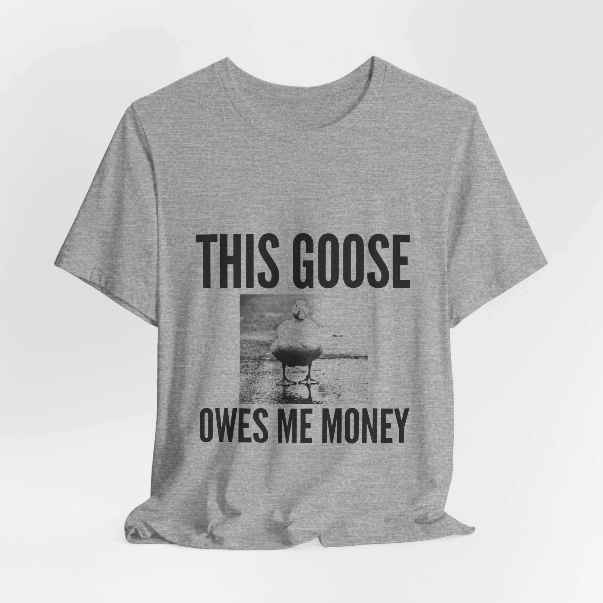 This Goose Owes Me Money Tee